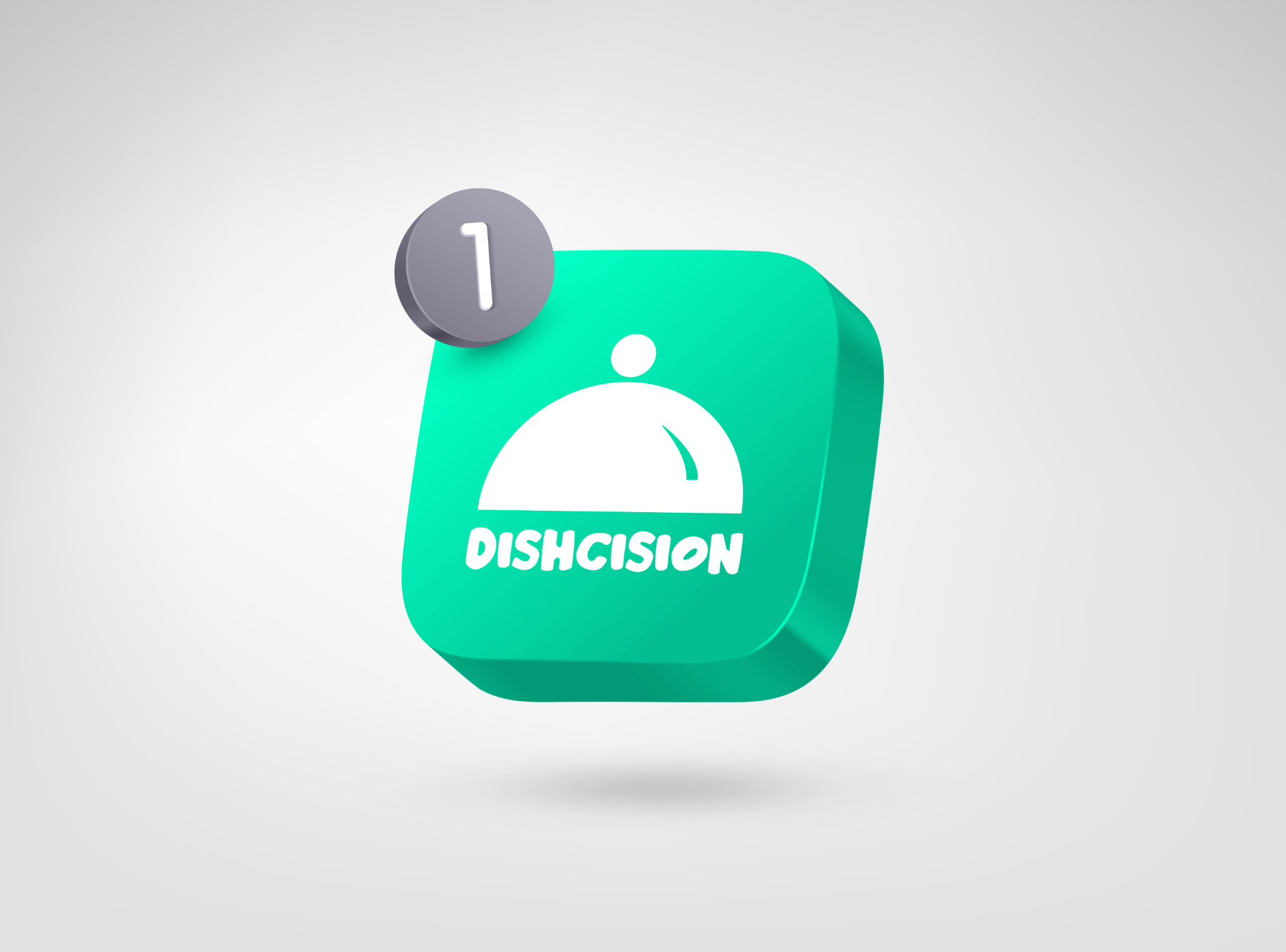 Dishcision detail